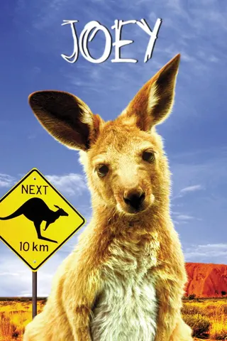 Görsel: TMDB Joey afişi