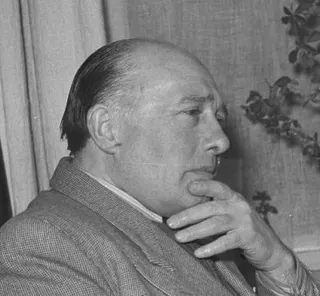 Johan Elsensohn