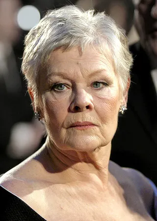 Görsel: Caroline Bonarde Ucci at https://www.flickr.com/photos/caroline_bonarde/ / CC BY Judi Dench