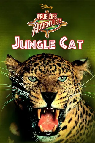 Görsel: TMDB Jungle Cat afişi
