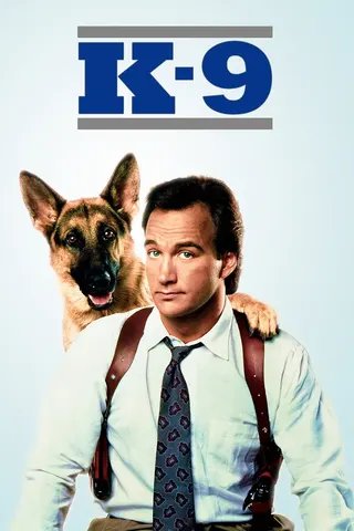 Görsel: TMDB K-9 afişi