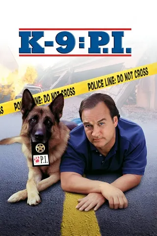 Görsel: TMDB K-9: P.I. afişi