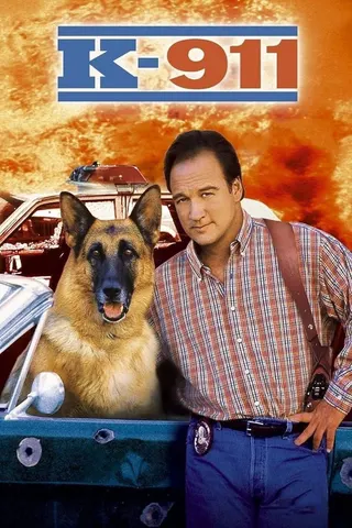 Görsel: TMDB K-911 afişi