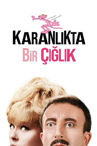 Karanlıkta Bir Çığlık afişi