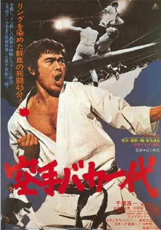 Görsel: TMDB Karate for Life afişi