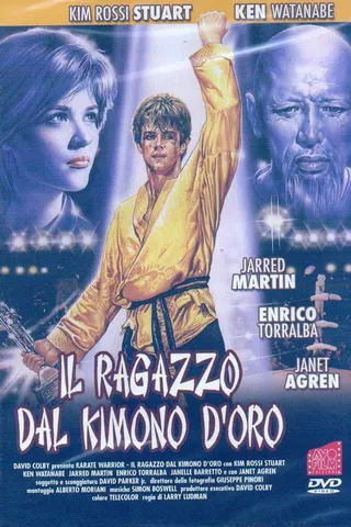 Karate Warrior afişi
