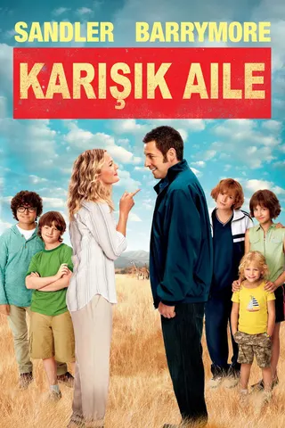 Görsel: TMDB Karışık Aile afişi