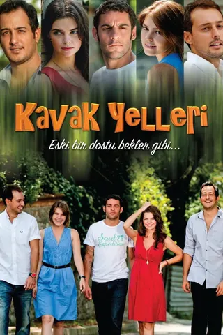 Görsel: TMDB Kavak Yelleri afişi