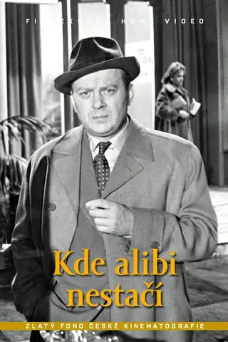 Görsel: TMDB Kde alibi nestací afişi