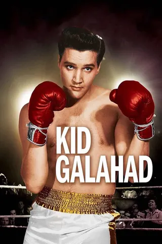 Görsel: TMDB Kid Galahad afişi