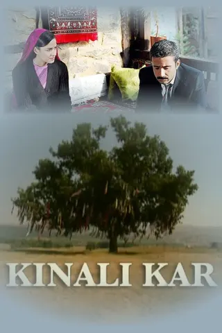 Görsel: TMDB Kınalı Kar afişi