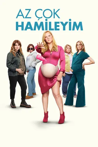 Görsel: TMDB Kinda Pregnant afişi