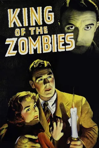 King of the Zombies afişi