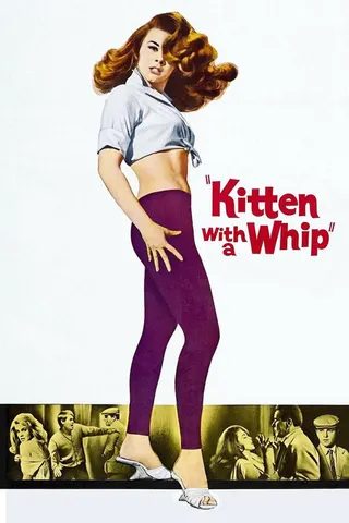 Görsel: TMDB Kitten with a Whip afişi