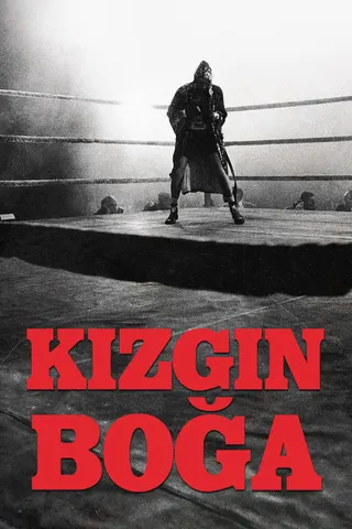 Kızgın Boğa afişi