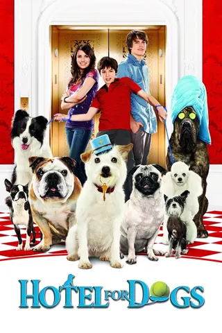 Köpek Oteli afişi