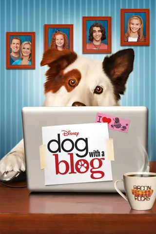 Köpek Stan Yazıyor! afişi