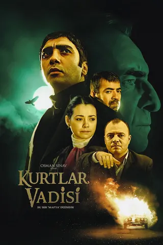 Kurtlar Vadisi afişi