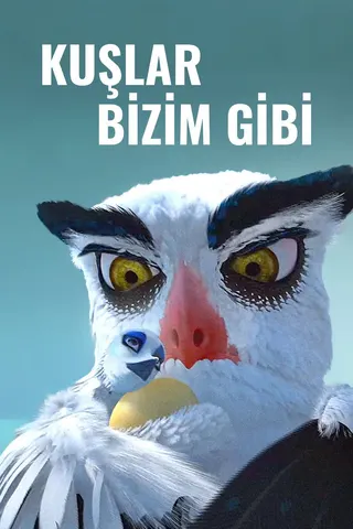 Görsel: TMDB Kuşlar Bizim Gibi afişi