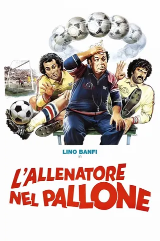 L'allenatore nel pallone afişi