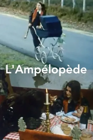 L'Ampélopède afişi