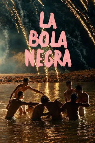Görsel: TMDB La bola negra afişi
