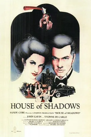 Görsel: TMDB La casa de las sombras afişi