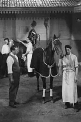 Görsel: TMDB La Mujer y el jockey afişi