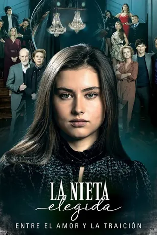 La nieta elegida afişi