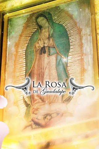 Görsel: TMDB La rosa de Guadalupe afişi