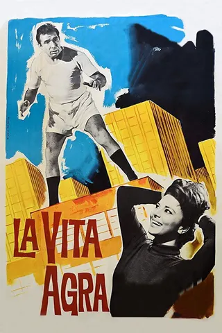La vita agra afişi