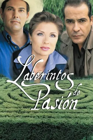 Laberintos de pasión afişi