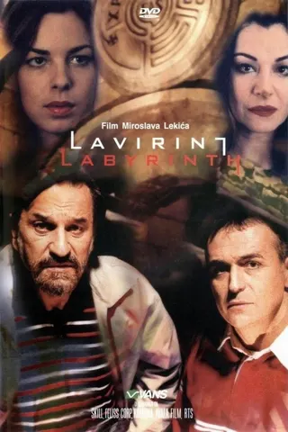 Görsel: TMDB Labyrinth afişi