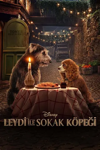 Görsel: TMDB Lady and the Tramp afişi