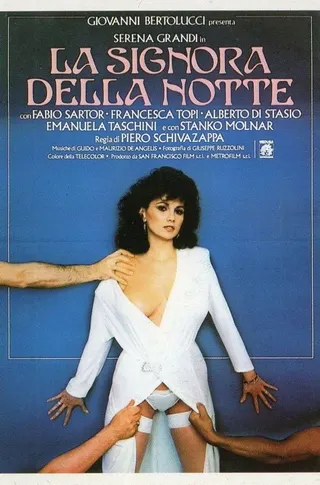 Görsel: TMDB Lady of the Night afişi