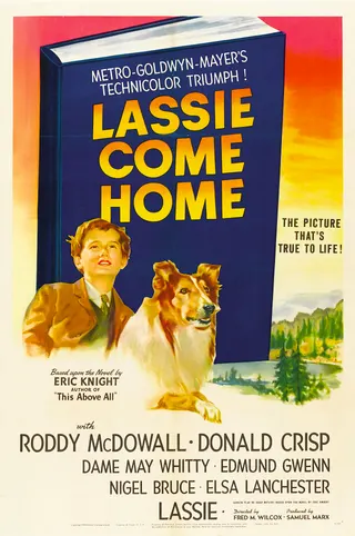 Lassie Come Home afişi