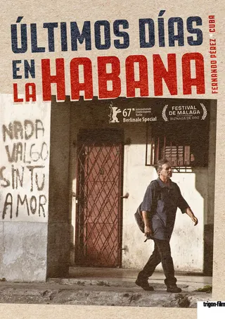 Last Days in Havana afişi