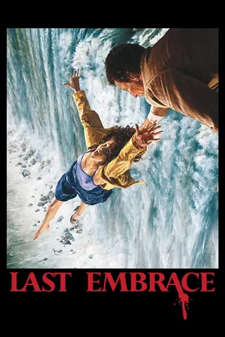 Last Embrace afişi