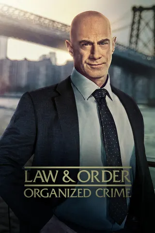 Law & Order: Organized Crime afişi