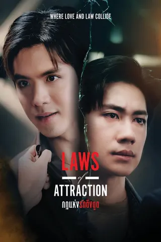Görsel: TMDB Laws of Attraction afişi