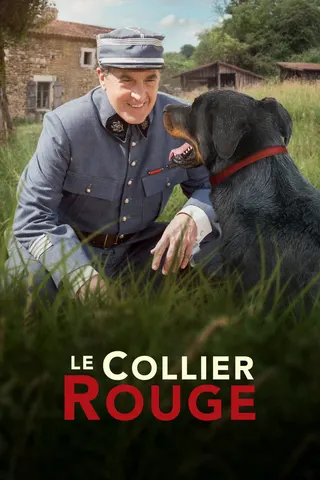 Görsel: TMDB Le Collier rouge afişi