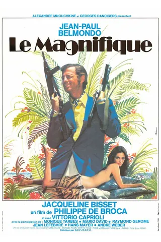 Le Magnifique afişi