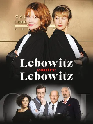 Lebowitz contre Lebowitz afişi