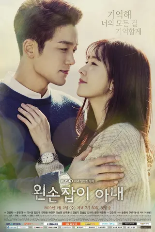 Görsel: TMDB Left-Handed Wife afişi