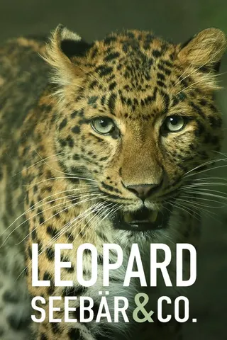 Görsel: TMDB Leopard, Seebär & Co. afişi