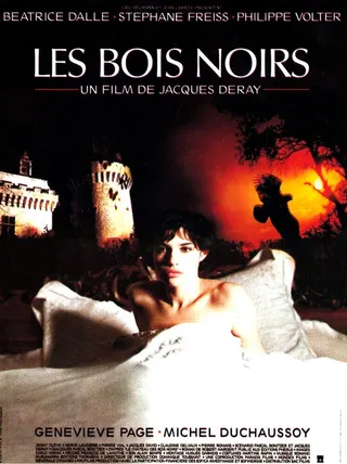 Les bois noirs afişi