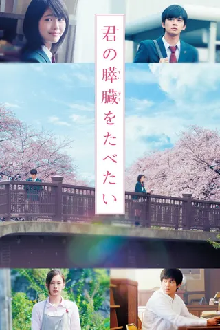 Görsel: TMDB Let Me Eat Your Pancreas afişi