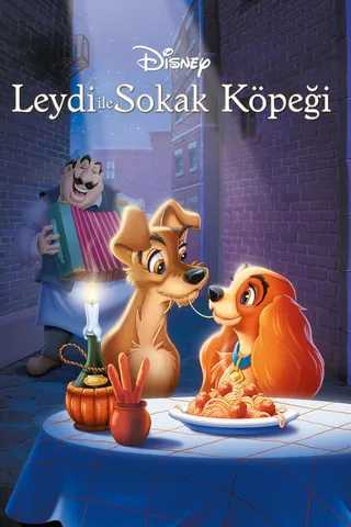 Görsel: TMDB Leydi ile Sokak Köpeği afişi