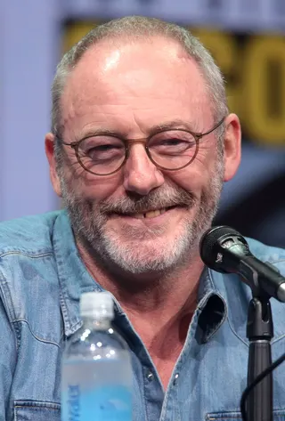 Görsel: Gage Skidmore / CC BY-SA Liam Cunningham