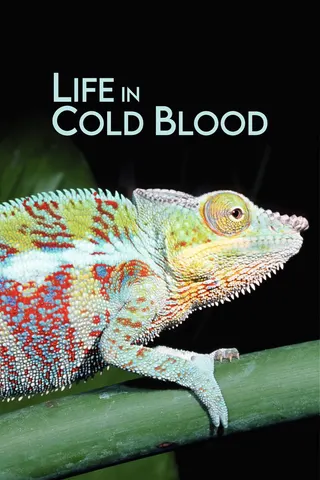 Görsel: TMDB Life in Cold Blood afişi